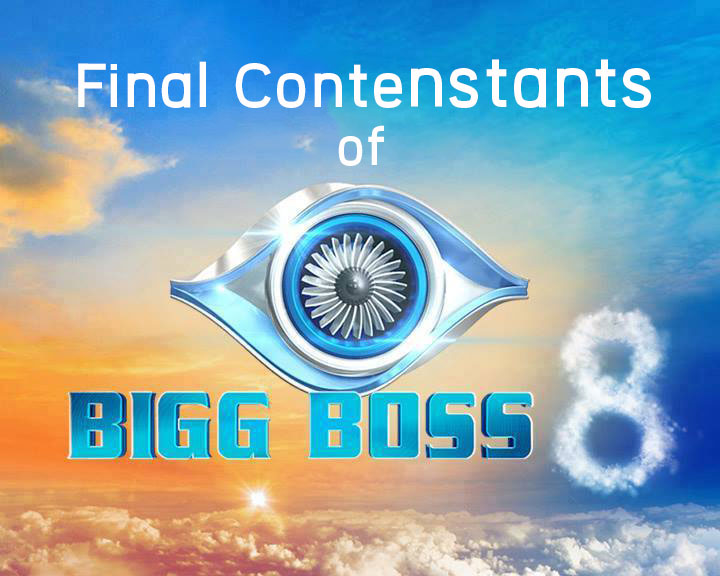 Bigg Boss Season 8