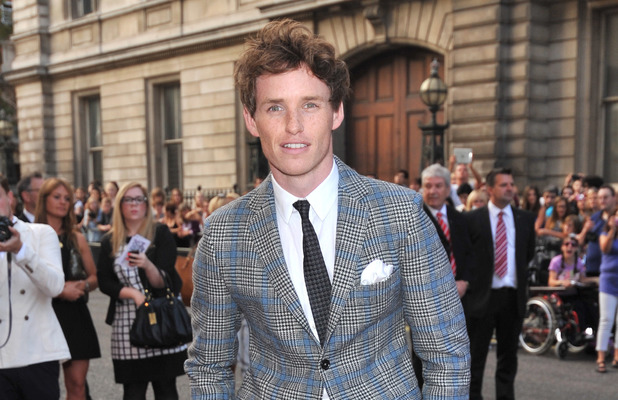 eddie-redmayne